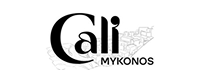 Company Logo 13